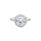 Anillo Livia