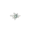 Anillo Lua