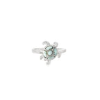 Anillo Lua