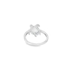 Anillo Lua