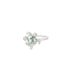 Anillo Lua