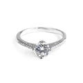Anillo Misol