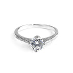 Anillo Misol