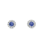 Arete Sonia