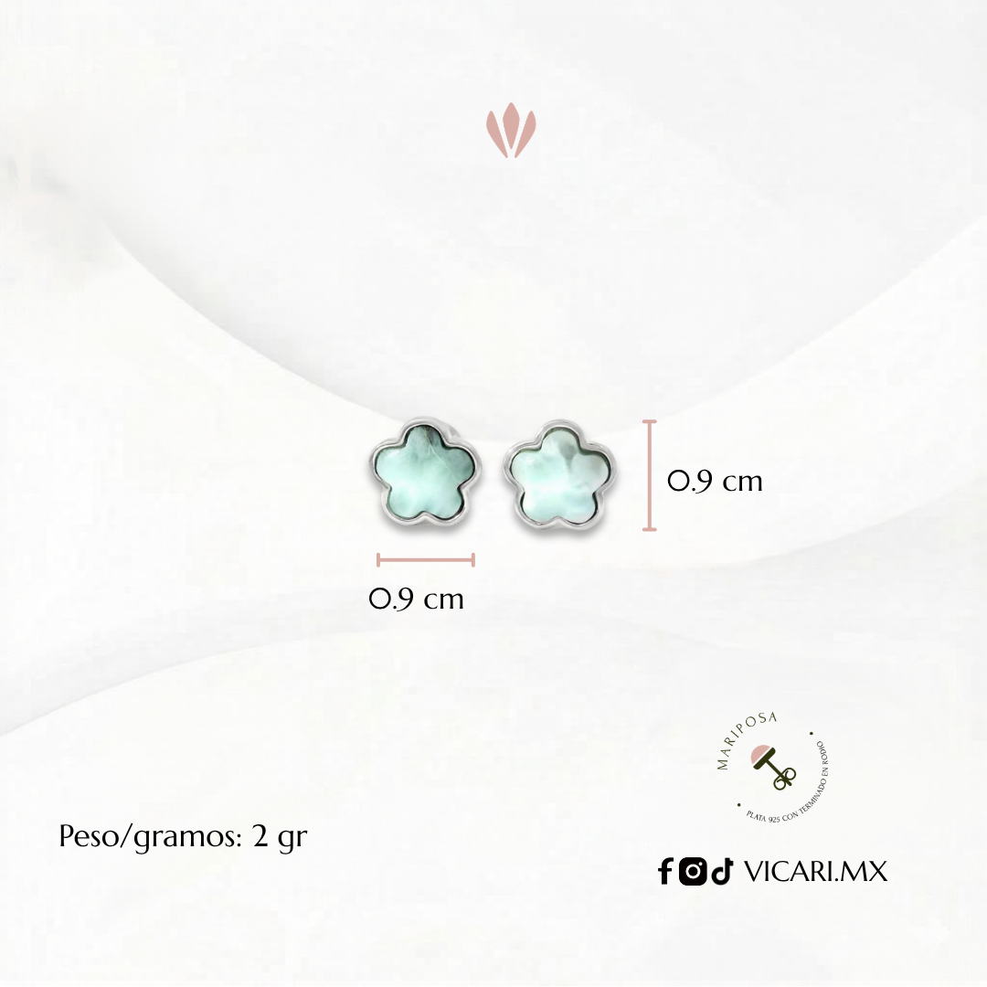 Aretes Sharon