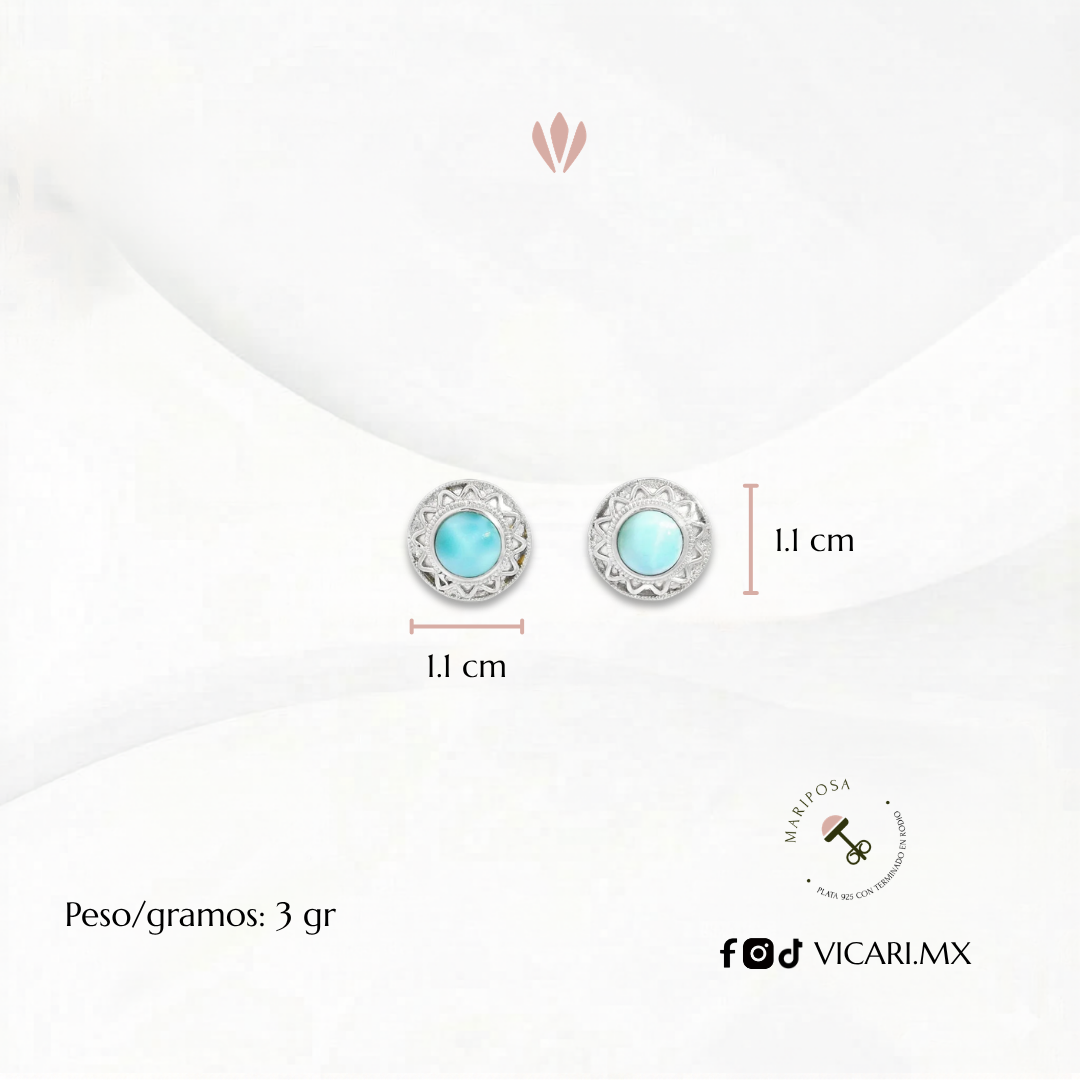 Aretes Paloma