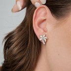 Aretes Oasis
