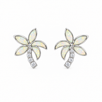 Aretes Oasis